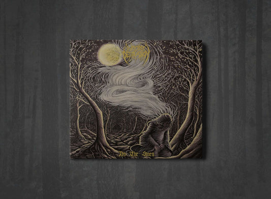 Additional artwork for "As the Stars" by Woods Of Desolation available at Darkwoods Webstore