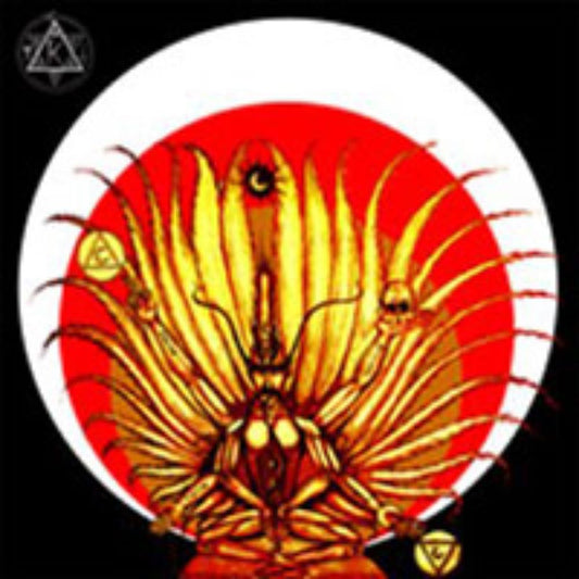 Front cover of "Valonkantajan Alkemia" by IC Rex available at Darkwoods Webstore