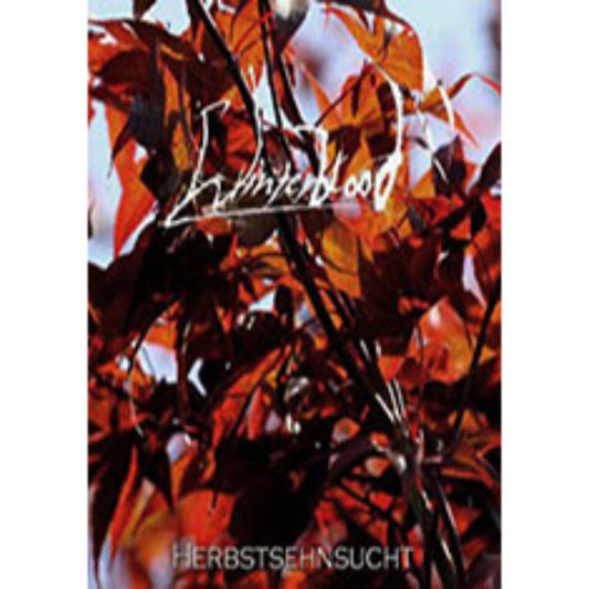 Front cover of "Herbstsehnsucht" by Winterblood available at Darkwoods Webstore