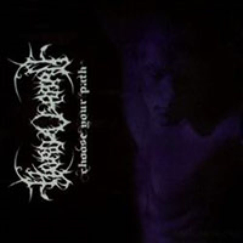 Front cover of "Choose Your Path" by Hordagaard available at Darkwoods Webstore