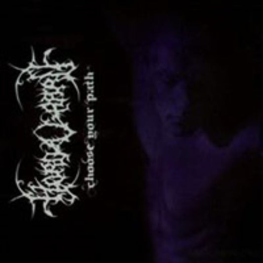 Front cover of "Choose Your Path" by Hordagaard available at Darkwoods Webstore