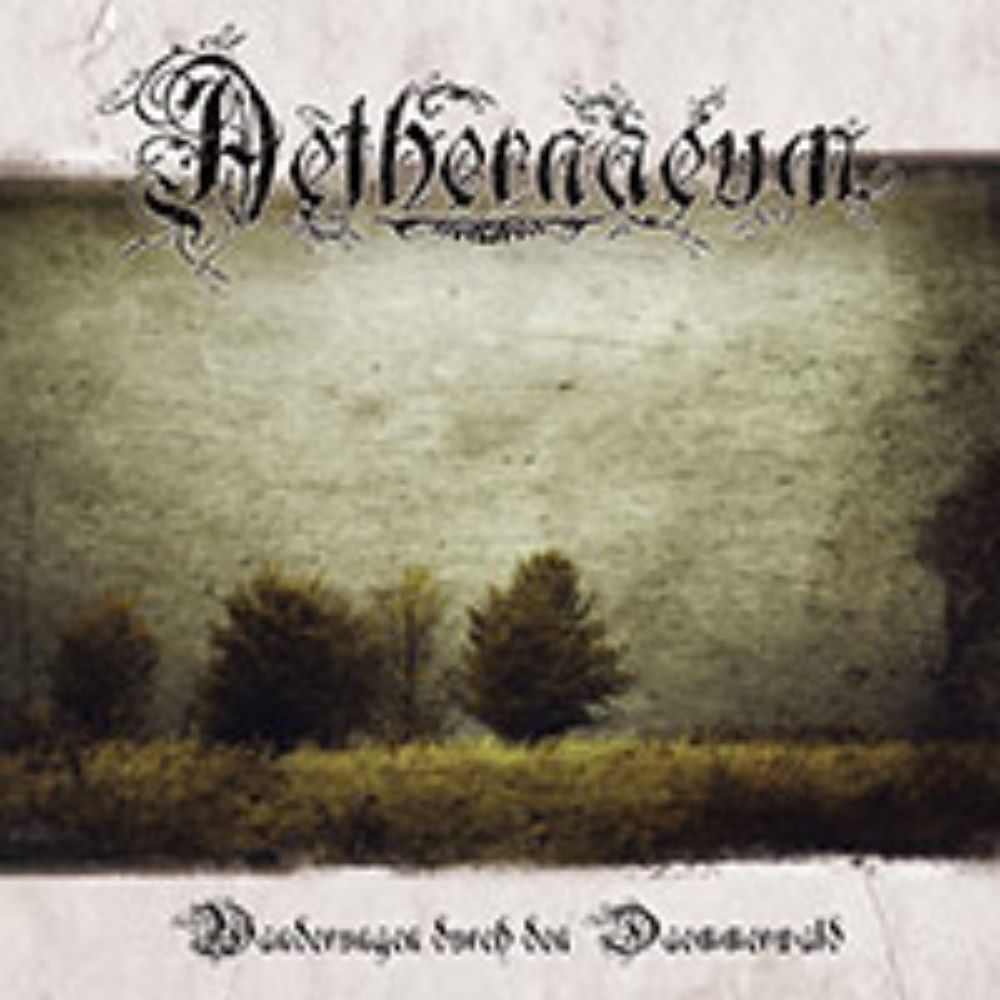 Front cover of "Wanderungen durch den Daemmerwald" by Aethernaeum available at Darkwoods Webstore