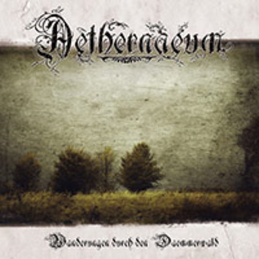 Front cover of "Wanderungen durch den Daemmerwald" by Aethernaeum available at Darkwoods Webstore
