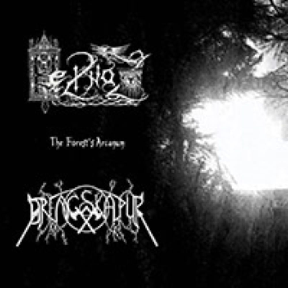 Front cover of "The Forest's Arcanum" by Heilnoz / Drengskapur available at Darkwoods Webstore