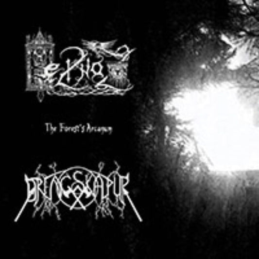 Front cover of "The Forest's Arcanum" by Heilnoz / Drengskapur available at Darkwoods Webstore