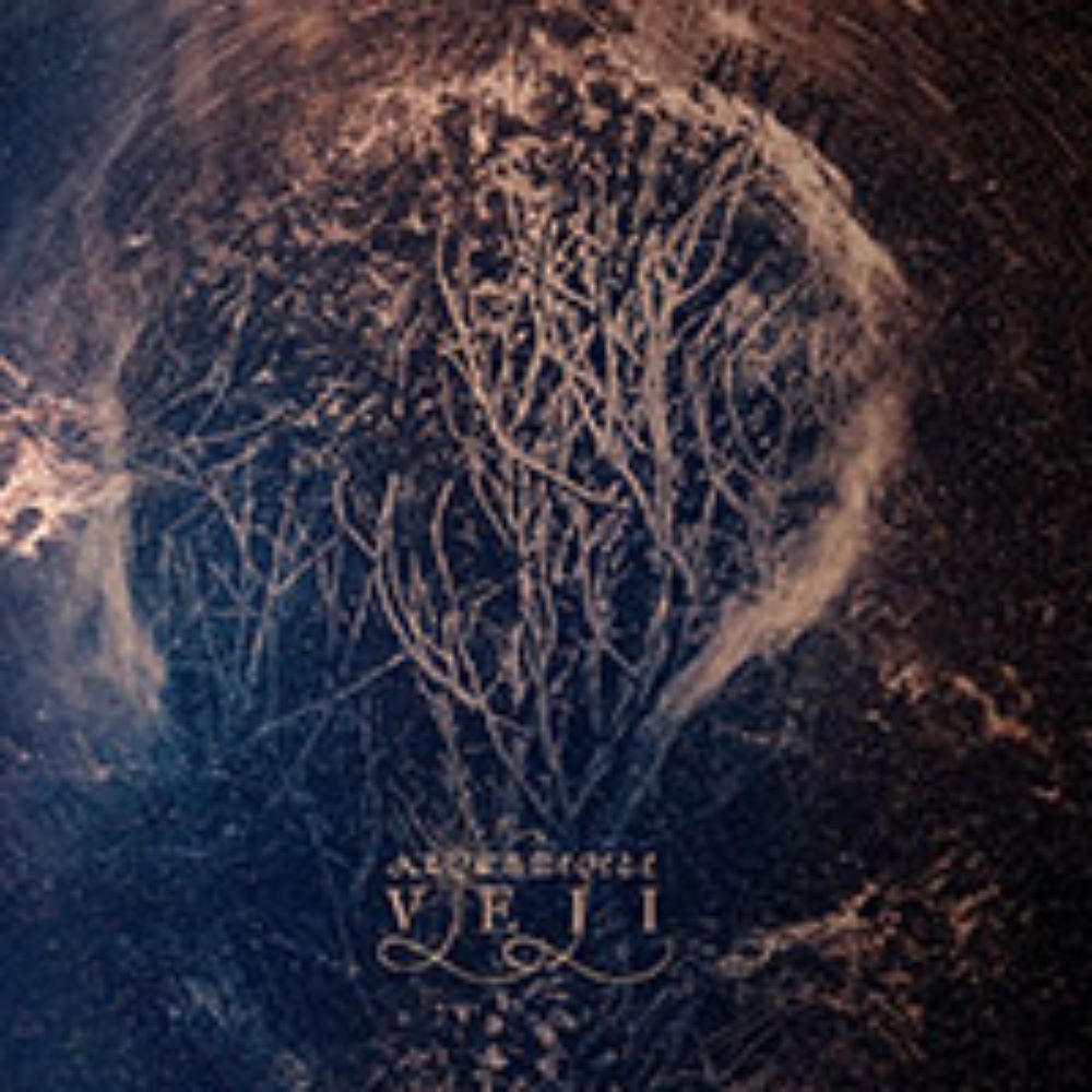 Front cover of "VEII" by Argus Megere available at Darkwoods Webstore