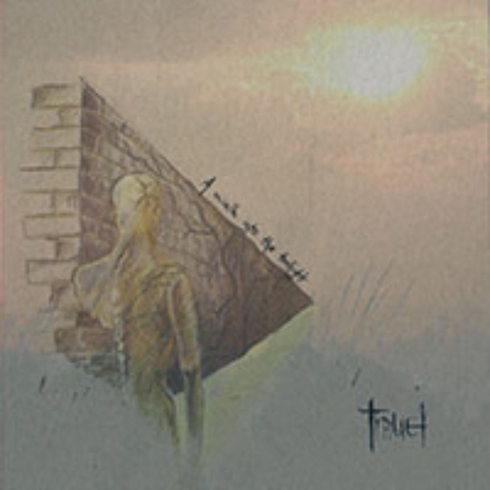 Front cover of "A Walk into the Twilight" by Trauer available at Darkwoods Webstore