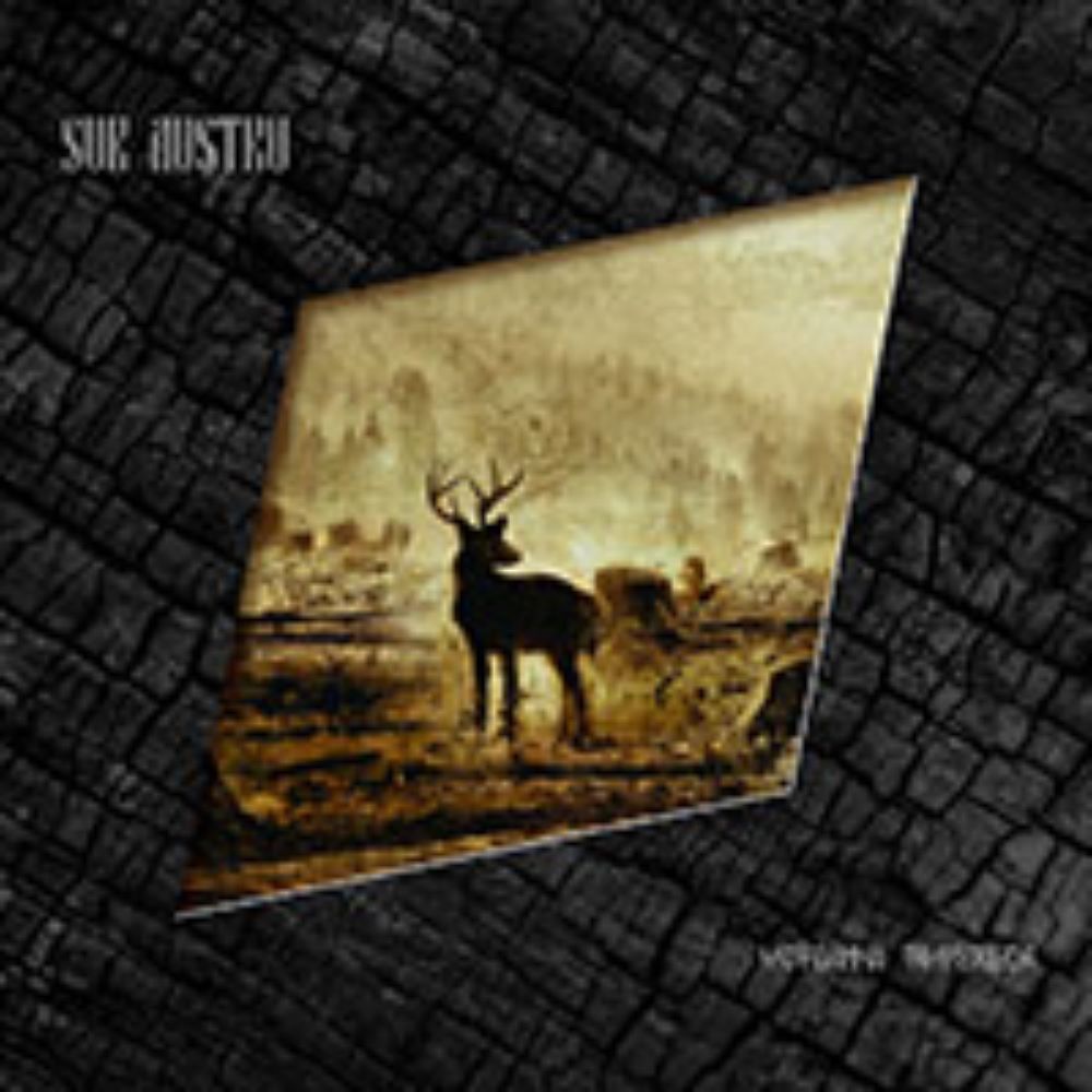 Front cover of "Meteahnă Timpurilor" by Sur Austru available at Darkwoods Webstore