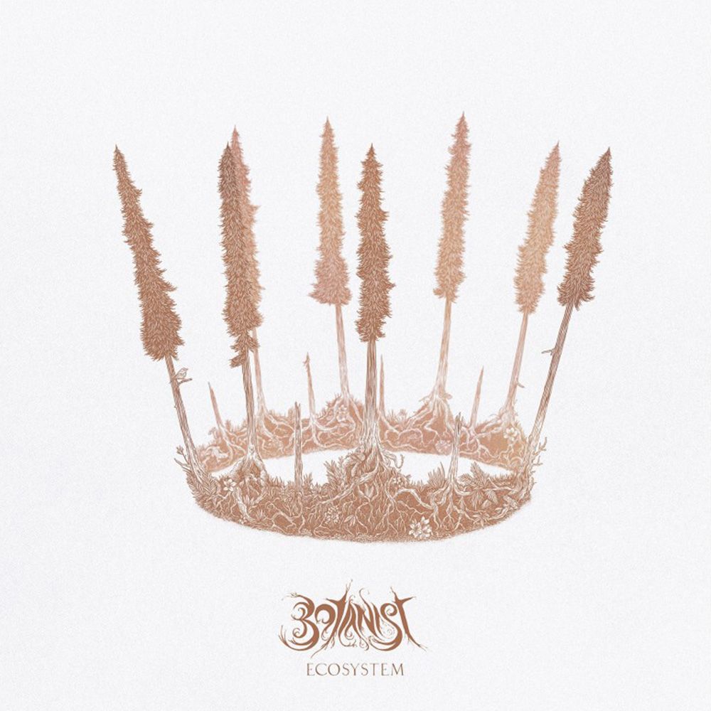 Front cover of "Ecosystem" by Botanist available at Darkwoods Webstore