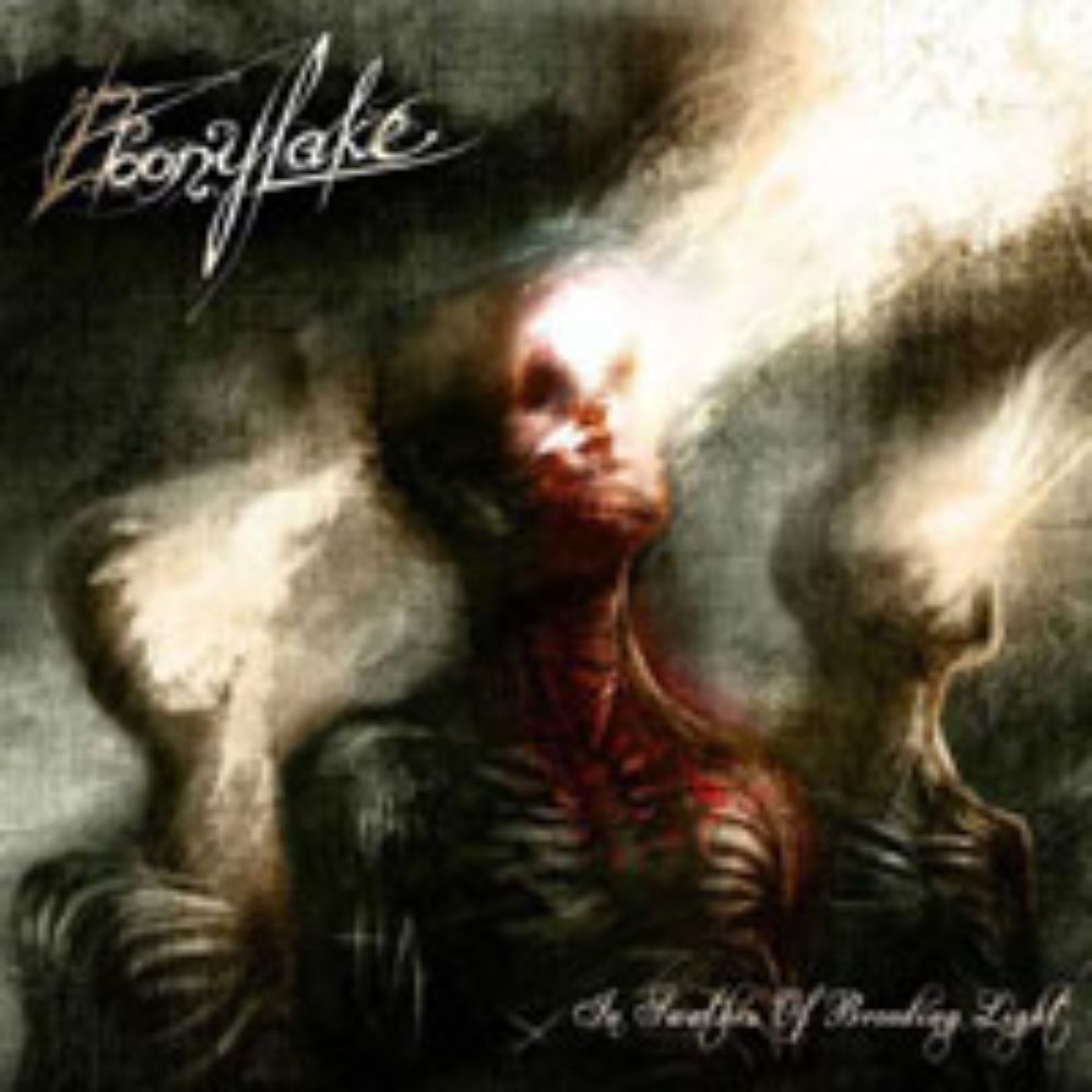 Front cover of "In Swathes of Brooding Light" by Ebonylake available at Darkwoods Webstore
