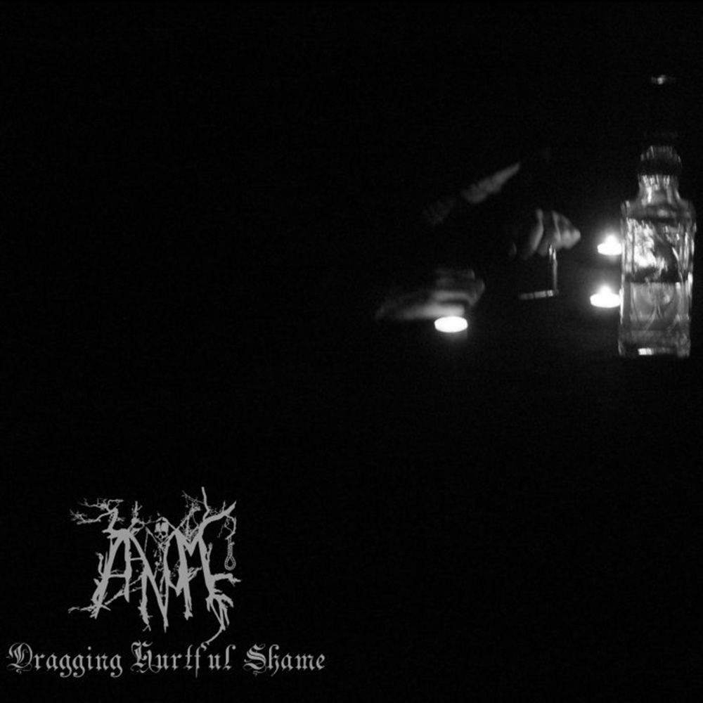 Front cover of "Dragging Hurtful Shame" by Aanomm available at Darkwoods Webstore