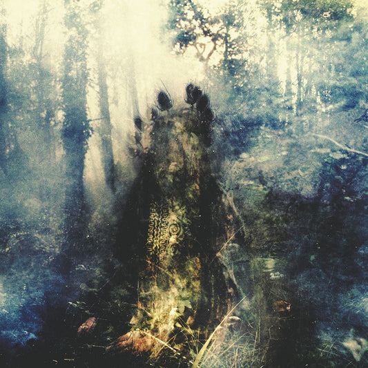 Front cover of "Wistful" by Sylvaine available at Darkwoods Webstore