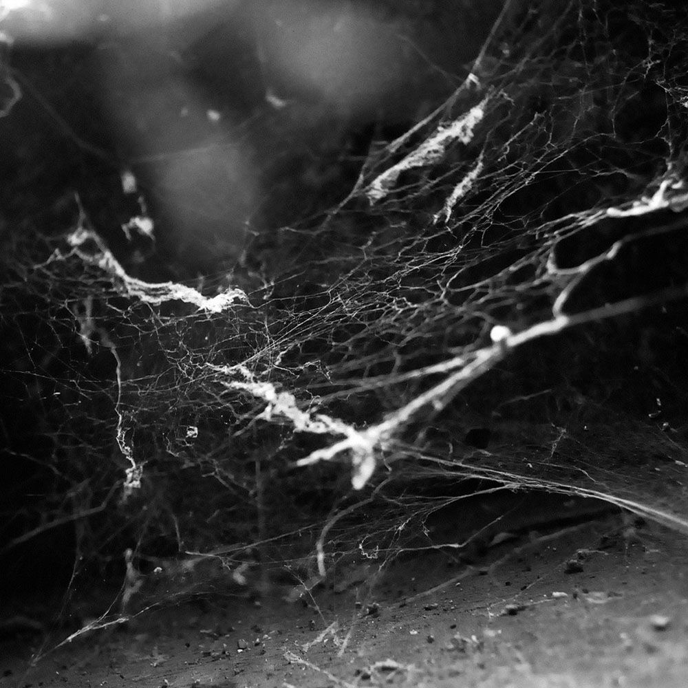 Front cover of "Antiphilanthropy / Fragments" by Raptus available at Darkwoods Webstore