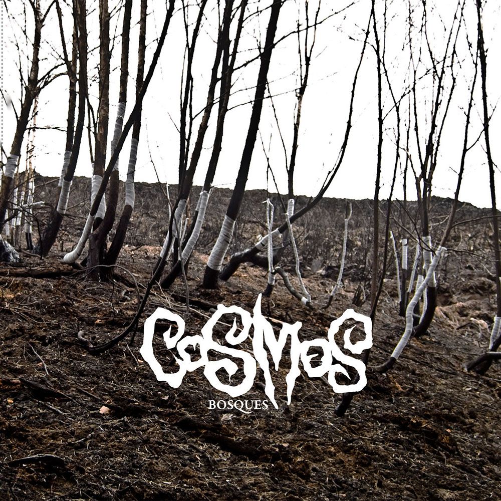 Front cover of "Boques" by Cosmos available at Darkwoods Webstore