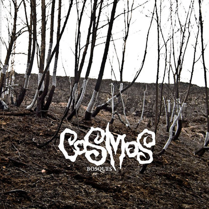 Front cover of "Boques" by Cosmos available at Darkwoods Webstore