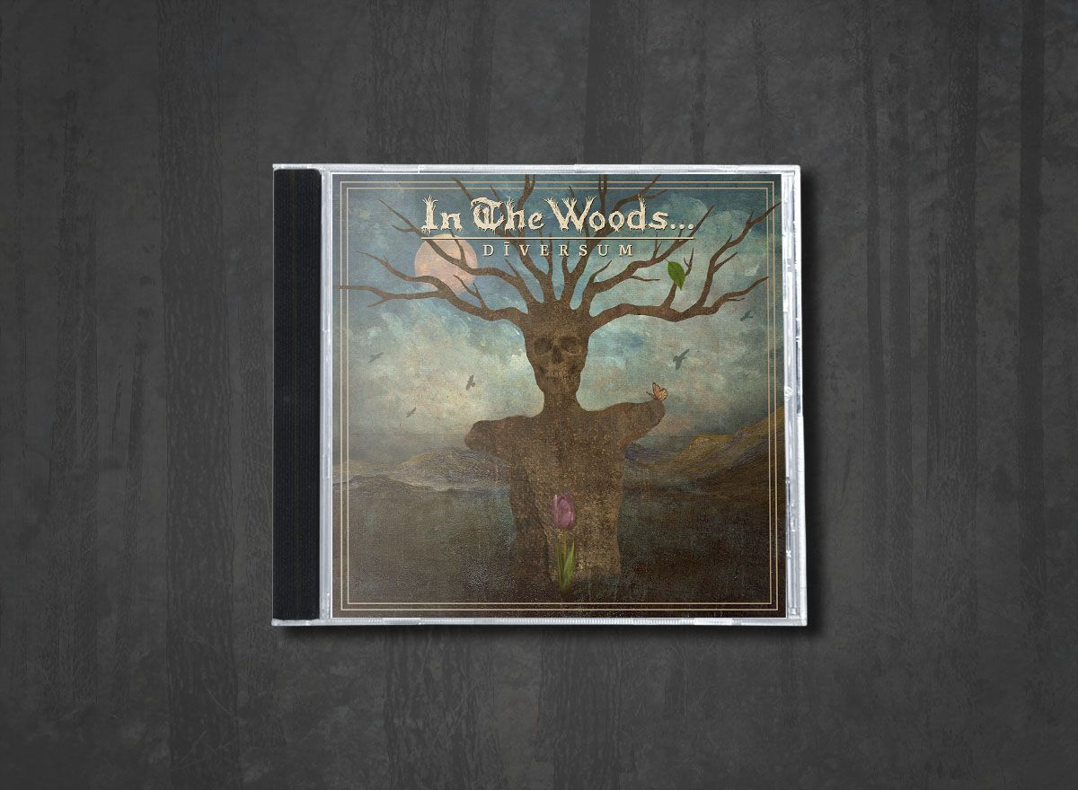 Additional artwork for "Diversum" by In the Woods... available at Darkwoods Webstore