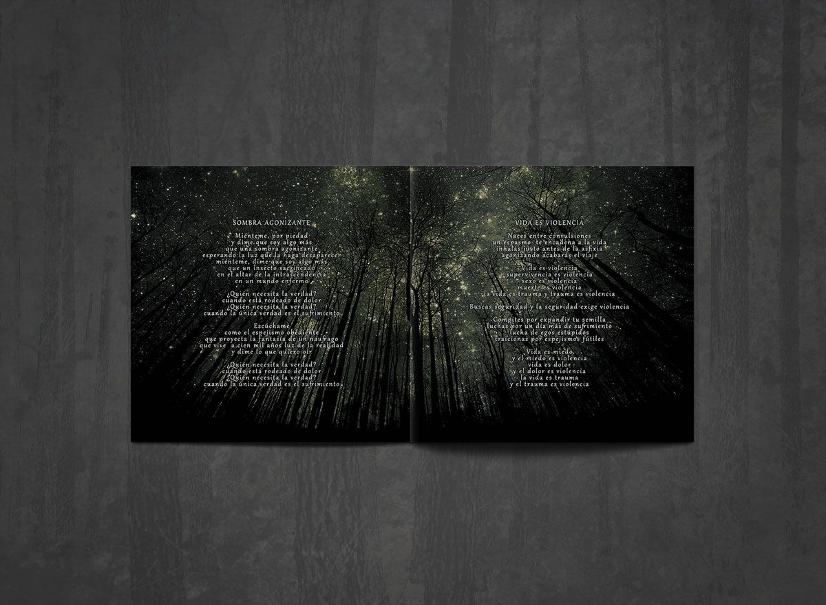 Additional artwork for "El Cosmos me Observa en Silencio" by Ornamentos del Miedo available at Darkwoods Webstore