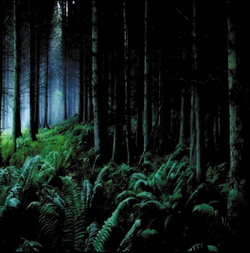 Front cover of "As Leaves Fall" by Astarot available at Darkwoods Webstore
