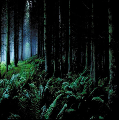 Front cover of "As Leaves Fall" by Astarot available at Darkwoods Webstore