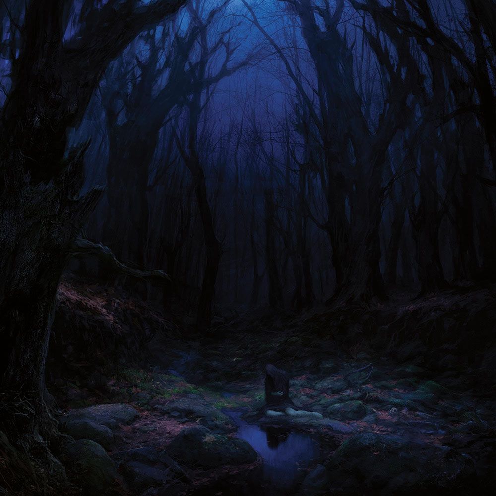 Front cover of "Torn Beyond Reason" by Woods Of Desolation available at Darkwoods Webstore
