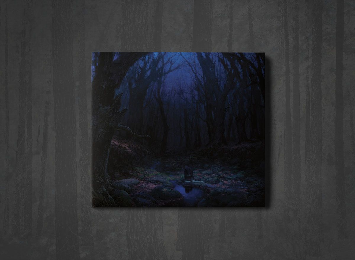 Additional artwork for "Torn Beyond Reason" by Woods Of Desolation available at Darkwoods Webstore
