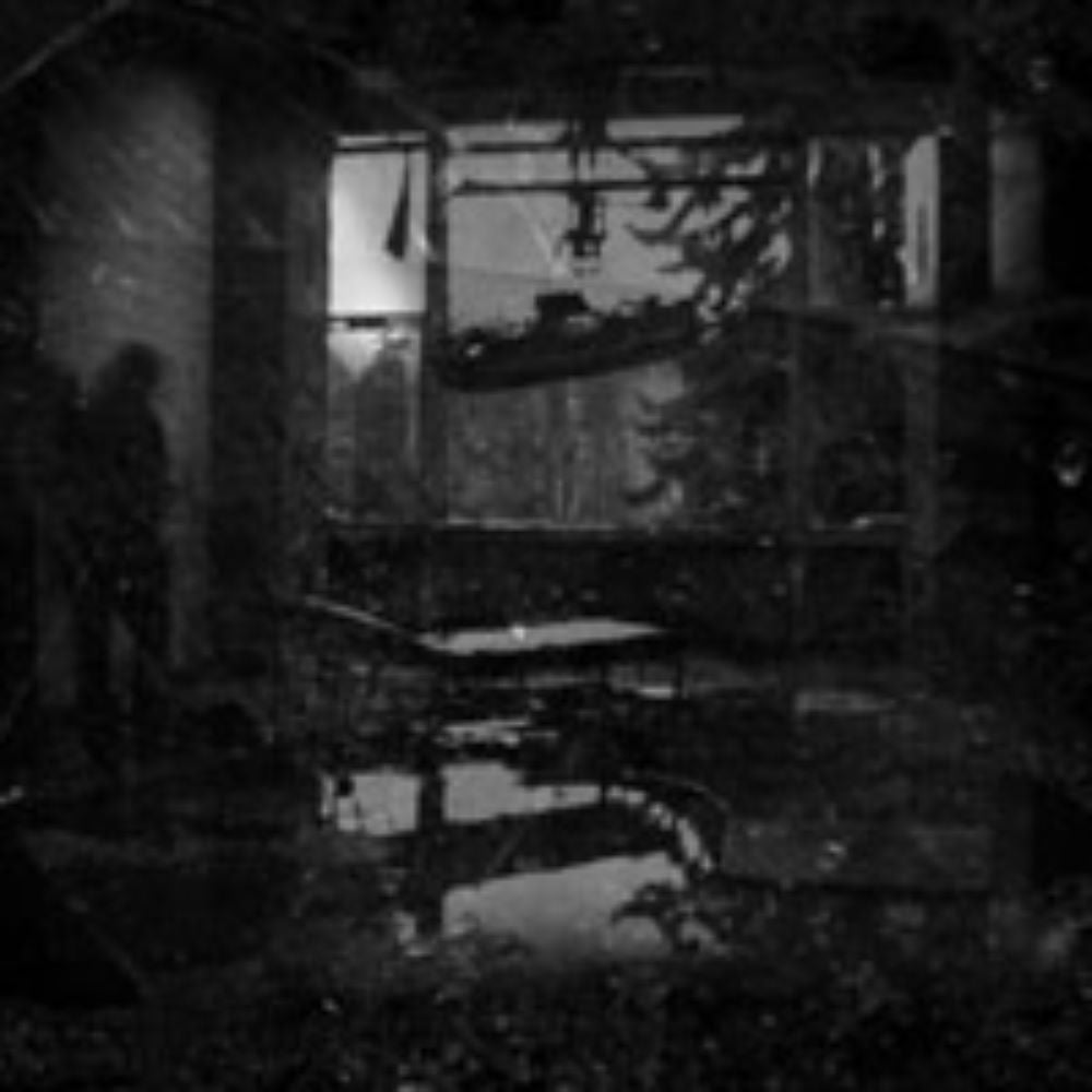 Front cover of "Form-Mensch" by Wolfshauch available at Darkwoods Webstore