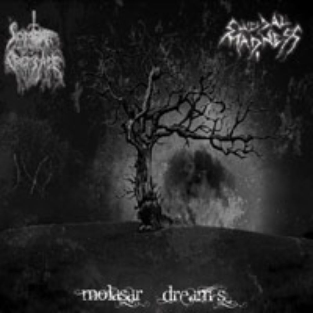 Front cover of "Molasar Dream's" by Suicidal Madness / Sombre Croisade available at Darkwoods Webstore
