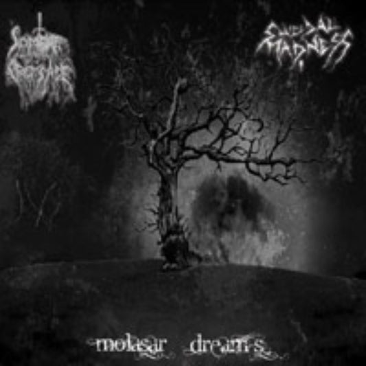 Front cover of "Molasar Dream's" by Suicidal Madness / Sombre Croisade available at Darkwoods Webstore