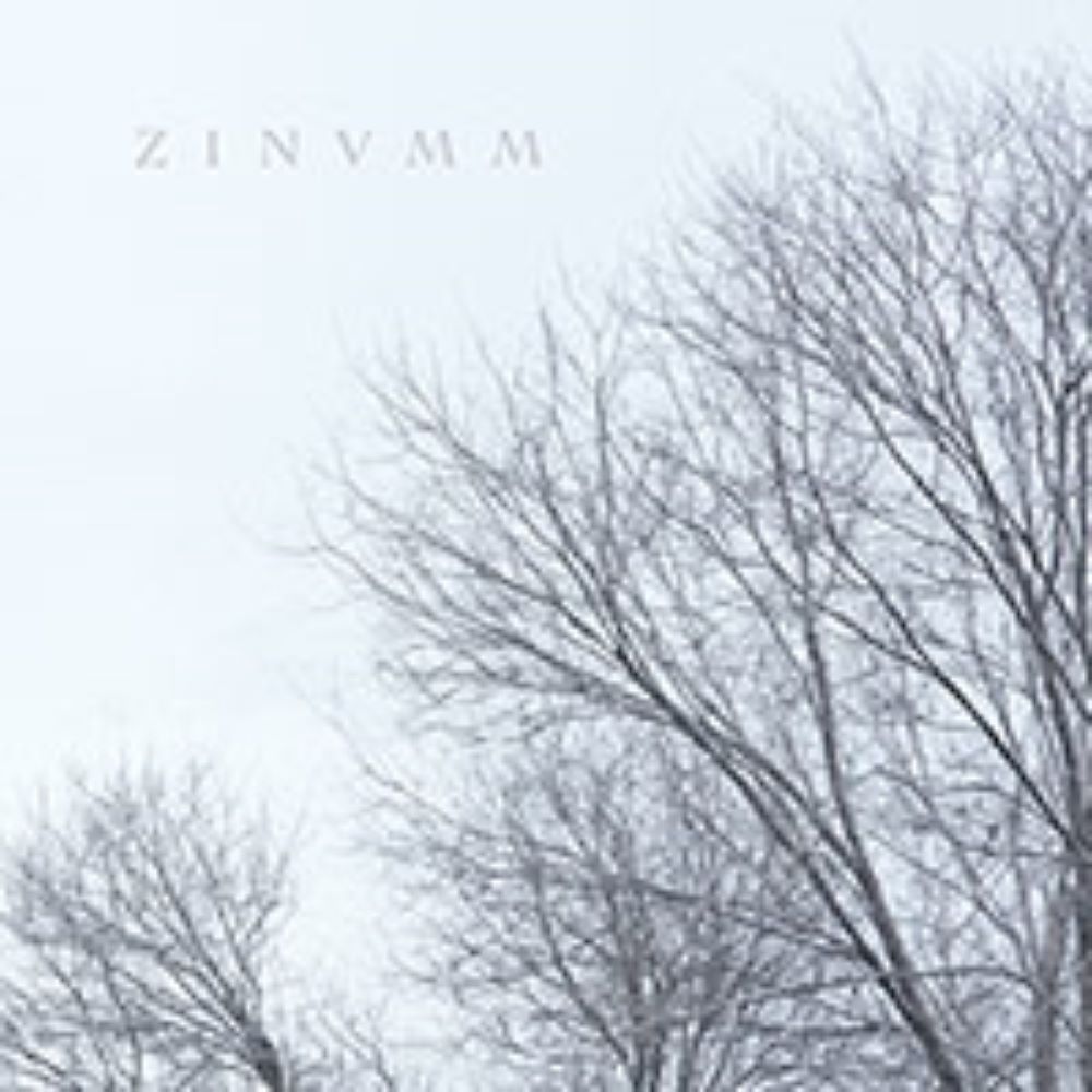 Front cover of "Zinumm" by Zinvmm available at Darkwoods Webstore