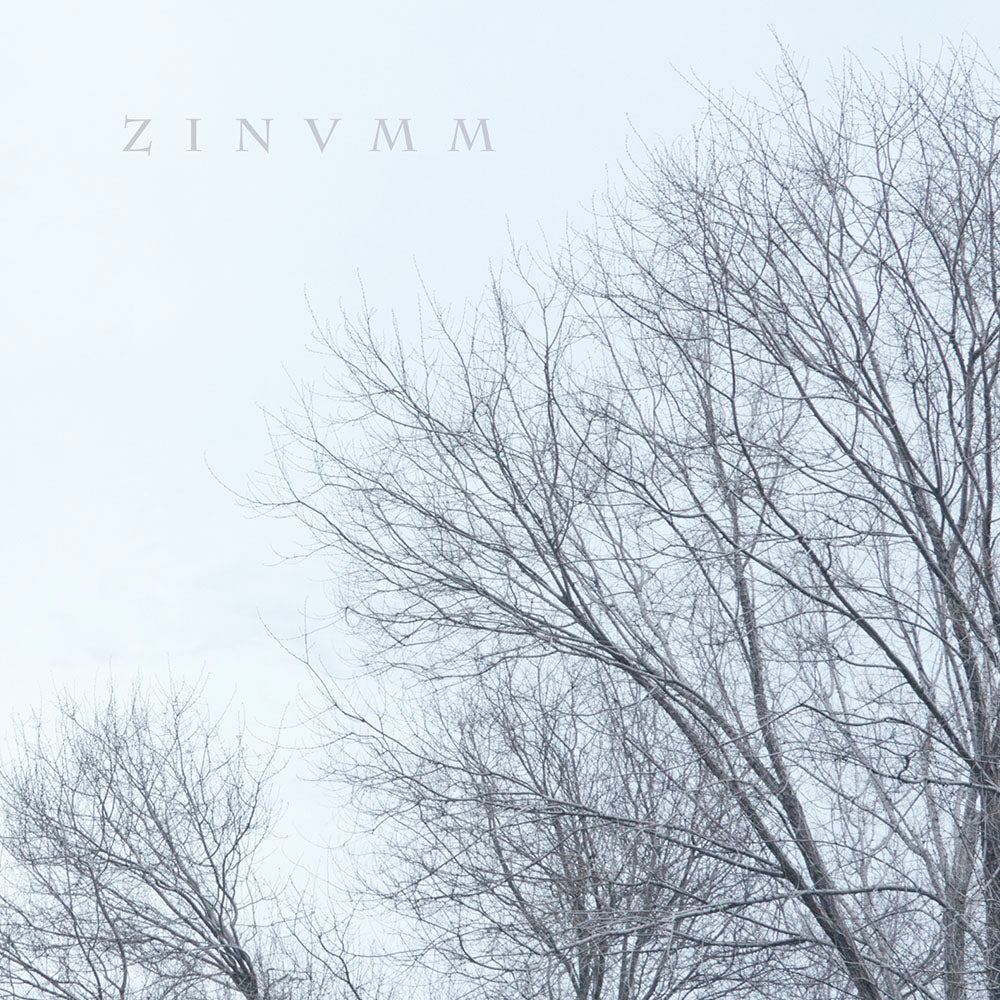 Front cover of "Zinumm" by Zinvmm available at Darkwoods Webstore