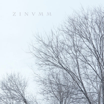 Front cover of "Zinumm" by Zinvmm available at Darkwoods Webstore