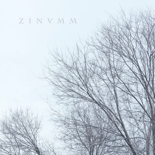 Front cover of "Zinumm" by Zinvmm available at Darkwoods Webstore